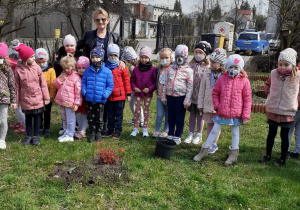 Dbając o ekologię grupa Podziomków posadziła swoje drzewko na placu przedszkolnym.